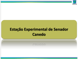 Pesquisa_Senador-Canedo