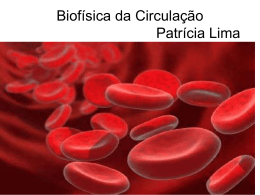 Biofísica da Circulação Patrícia Lima