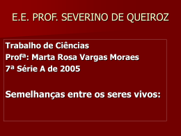 E.E. PROF. SEVERINO DE QUEIROZ