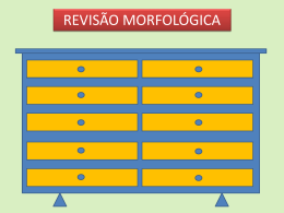 Revis&atilde;o morfol&oacute;gica