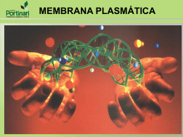 membrana plasmática - Colégio Energia Barreiros