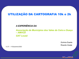 Abordagens seguidas na aquisi&ccedil;&atilde;o da cartografia 1:10.000