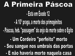jonas e a p&aacute;scoa
