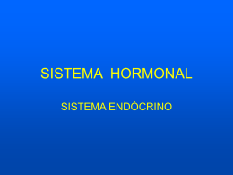 SISTEMA HORMONAL - Colégio Santa Cruz