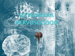 O Sistema Nervoso Periférico