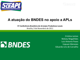 A atuação do BNDES no apoio a apls