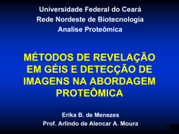 Sensibilidade - Universidade Federal do Ceará