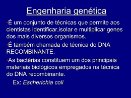Engenharia genetica