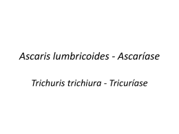 Aula_Ascaris_Lumbricoides
