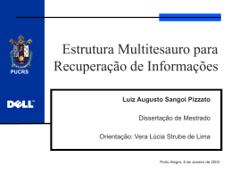 Desenvolvimento e avalia&ccedil;&atilde;o de uma estrutura multitesauro para