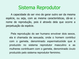 sistema reprodutor feminino e masculino