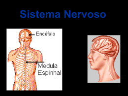 O Sistema Nervoso Central e