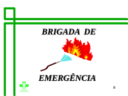 BRIGADA - resgatebrasiliavirtual.com.br