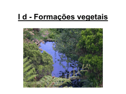 I d - Formações vegetais 003