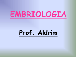 EMBRIOLOGIA Prof. Bermudes