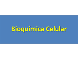 bioquimica - Colégio Dom Bosco