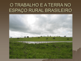 O TRABALHO E A TERRA NO ESPAÇO RURAL BRASILEIRO