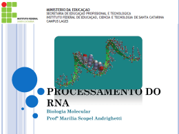 Processamento do RNA - Docente