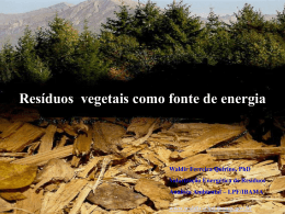 resíduos vegetais como fonte de energia