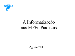 Estudo sobre a Informatização das MPEs Paulistas