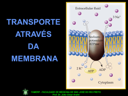 transporte através da membrana