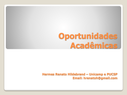 Hermes Renato Hildeb..
