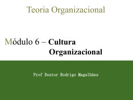 A teia cultural da organização