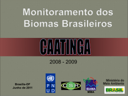 Apresentação monitoramento da Caatinga