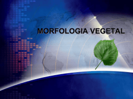 MorfologiaVegetal