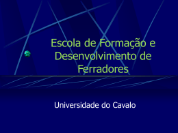 UNIVERSIDADE DO CAVALO