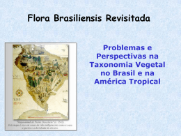 Flora Brasiliensis Revisitada
