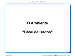 A Aproxima&ccedil;&atilde;o "Base de Dados" do ponto de vista