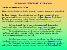 Taxonomia de Pteridófitas Neotropicais