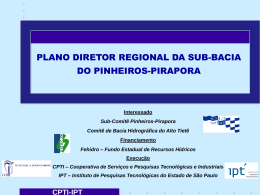 Plano Diretor Regional da Sub-bacia Pinheiros