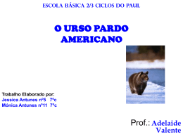 ESCOLA BÁSICA 2/3 CICLOS DO PAUL