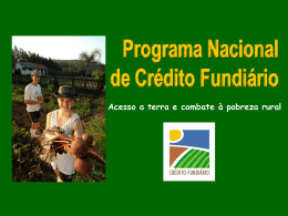 Fases e fluxos dos projetos do Programa Nacional de Crédito F