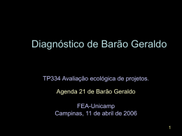 Diagnóstico de Barão Geraldo - versão preliminar (20