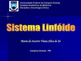 TECIDOS LINFÓIDES Ontogenia do Sistema Linfóide