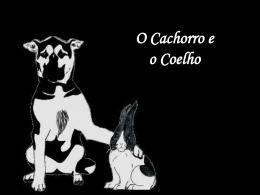 O Cachorro e o Coelho