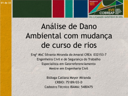 Dano ambiental em rios