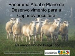 situação da cadeia produtiva de caprinos e ovinos no brasil