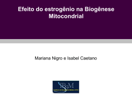 eNOS→ ↓ biogênese mitocondrial