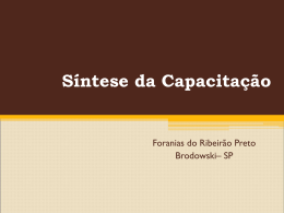 S&iacute;ntese da Capacita&ccedil;&atilde;o - Arquidiocese Ribeir&atilde;o Preto