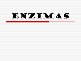 ENZIMAS