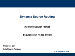 Dynamic Source Routing
