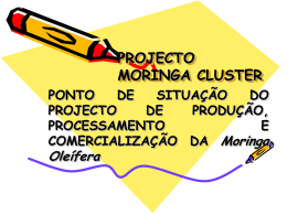 projecto moringa cluster