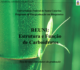 Apresenta&ccedil;&atilde;o do PowerPoint - Programa de P&oacute;s