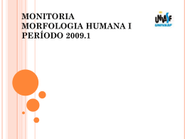 MONITORIA MORFOLOGIA HUMANA I PERÍODO 2009.1