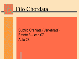 Filo Chordata_craniata