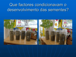 Sementes
